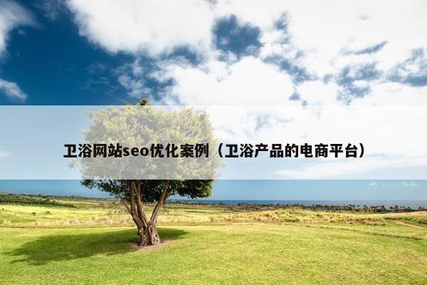 卫浴网站seo优化案例（卫浴产品的电商平台）