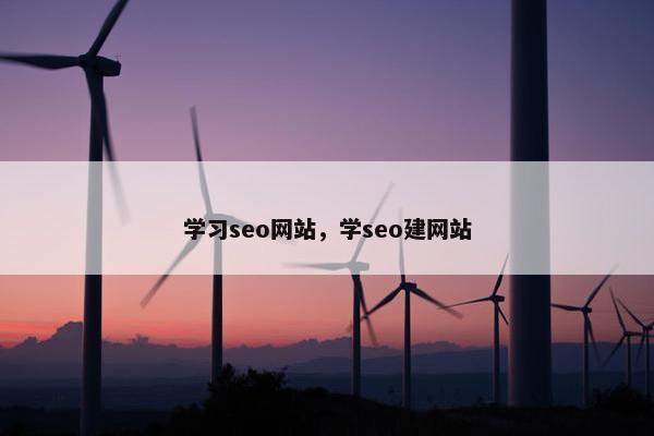学习seo网站，学seo建网站