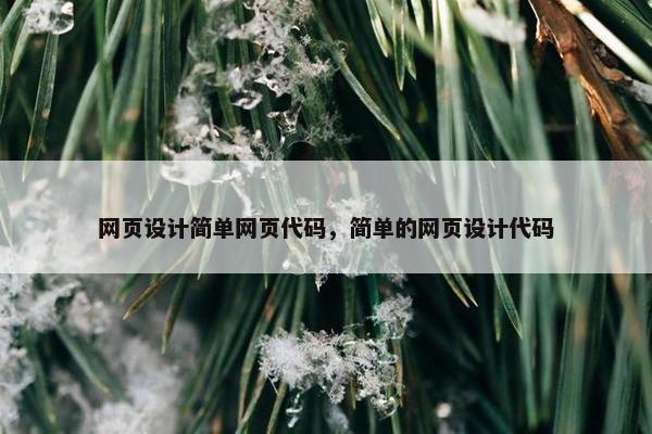 网页设计简单网页代码，简单的网页设计代码