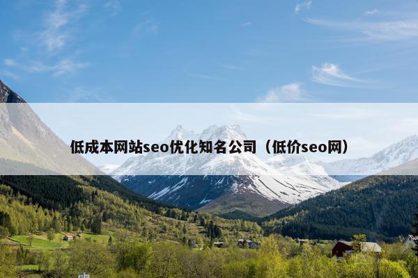 低成本网站seo优化知名公司（低价seo网）