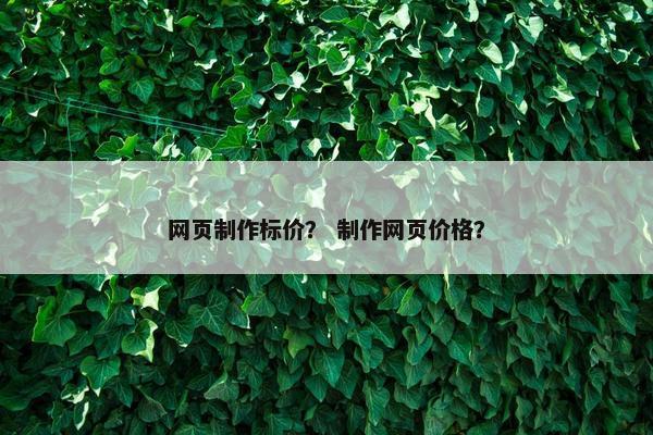 网页制作标价？ 制作网页价格？