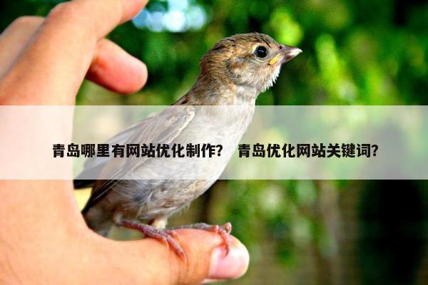 青岛哪里有网站优化制作？ 青岛优化网站关键词？