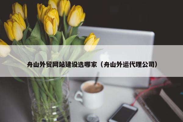 舟山外贸网站建设选哪家（舟山外运代理公司）
