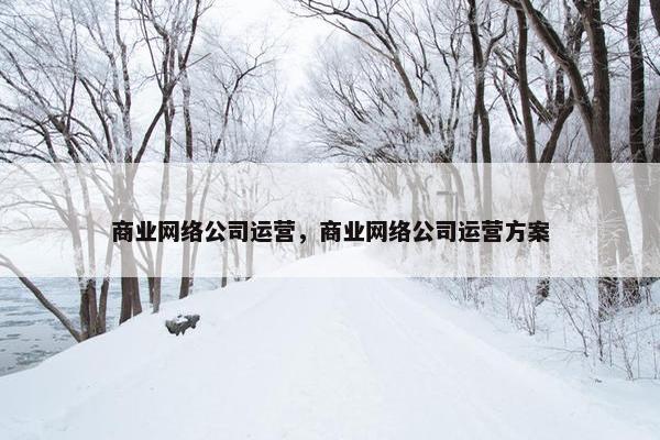 商业网络公司运营，商业网络公司运营方案