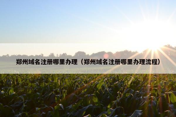 郑州域名注册哪里办理（郑州域名注册哪里办理流程）