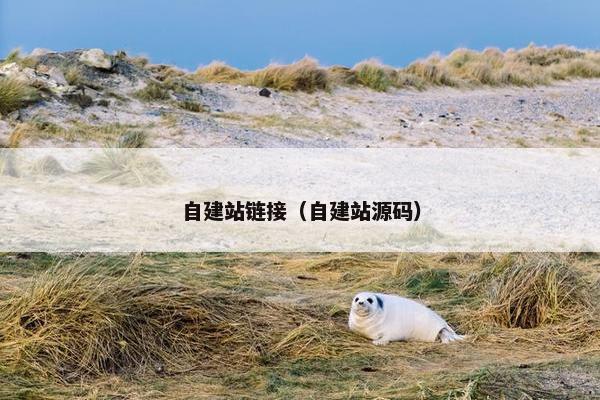 自建站链接（自建站源码）