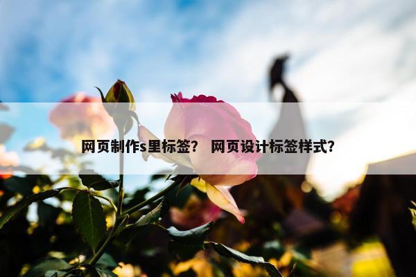网页制作s里标签？ 网页设计标签样式？