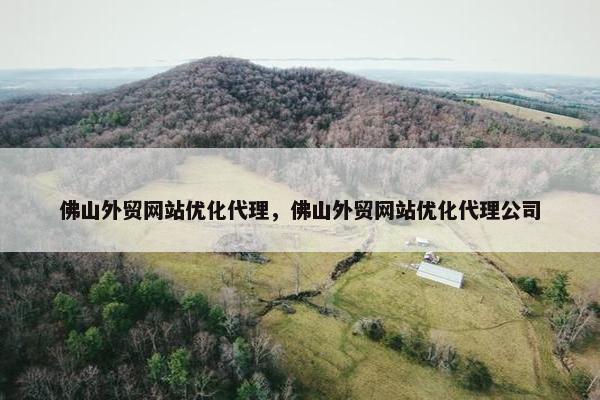佛山外贸网站优化代理，佛山外贸网站优化代理公司