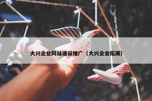 大兴企业网站建设推广（大兴企业拓展）