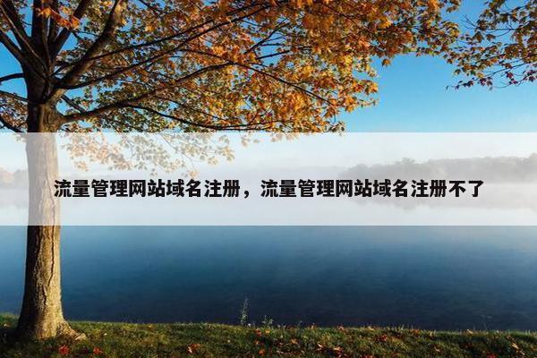 流量管理网站域名注册，流量管理网站域名注册不了