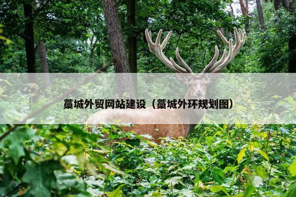 藁城外贸网站建设（藁城外环规划图）
