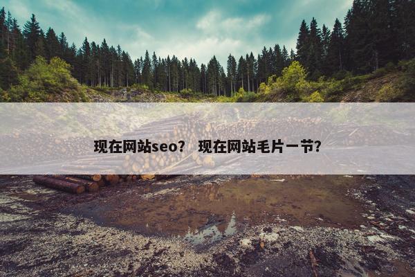 现在网站seo？ 现在网站毛片一节？