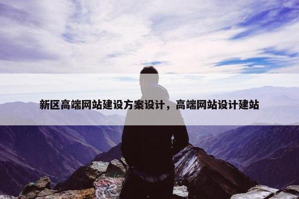 新区高端网站建设方案设计，高端网站设计建站