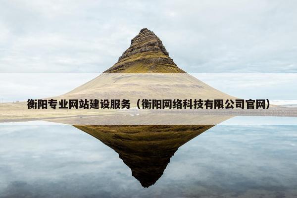 衡阳专业网站建设服务（衡阳网络科技有限公司官网）