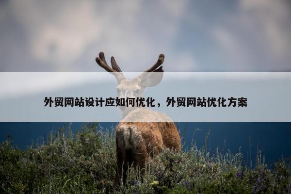外贸网站设计应如何优化，外贸网站优化方案