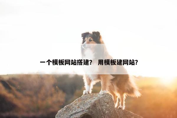 一个模板网站搭建？ 用模板建网站？