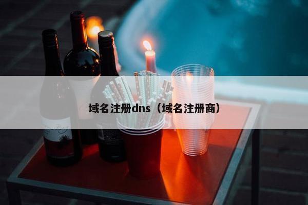 域名注册dns（域名注册商）