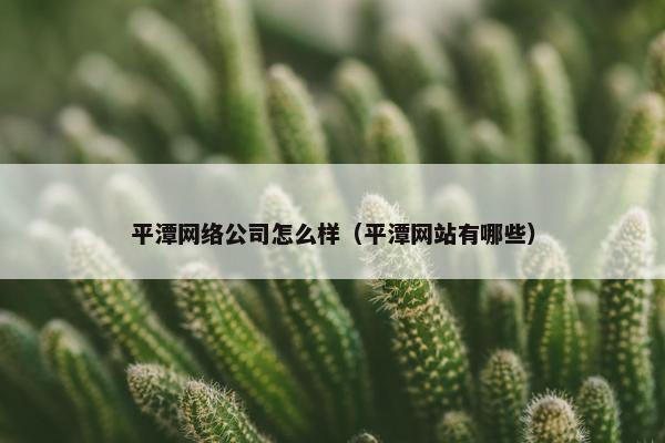 平潭网络公司怎么样（平潭网站有哪些）