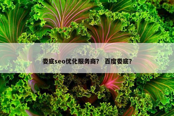 娄底seo优化服务商？ 百度娄底？