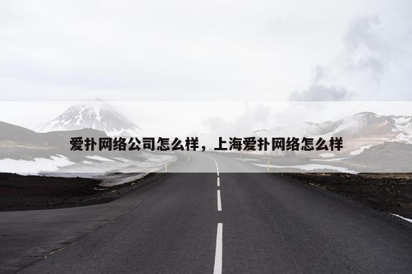 爱扑网络公司怎么样，上海爱扑网络怎么样