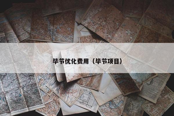 毕节优化费用（毕节项目）