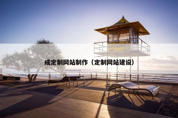 成定制网站制作（定制网站建设）