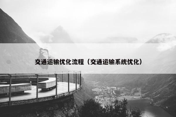 交通运输优化流程（交通运输系统优化）