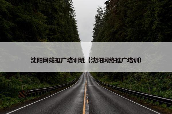沈阳网站推广培训班（沈阳网络推广培训）