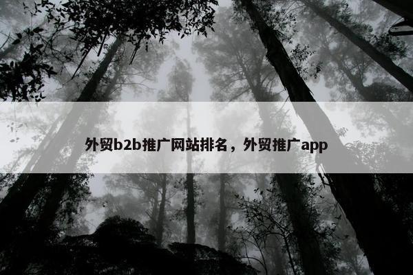 外贸b2b推广网站排名，外贸推广app