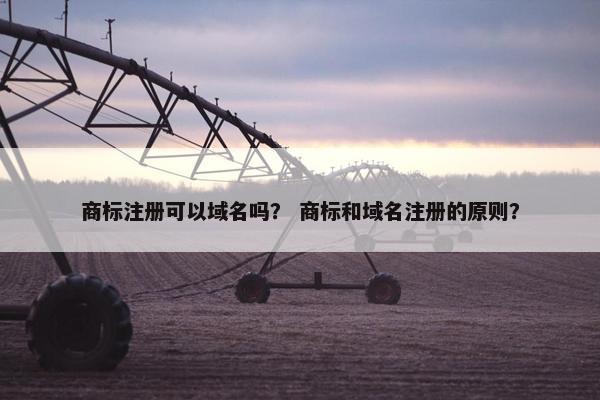 商标注册可以域名吗？ 商标和域名注册的原则？