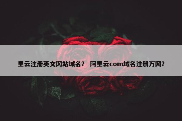 里云注册英文网站域名？ 阿里云com域名注册万网？