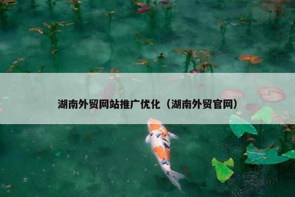湖南外贸网站推广优化（湖南外贸官网）