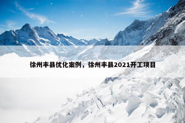 徐州丰县优化案例，徐州丰县2021开工项目