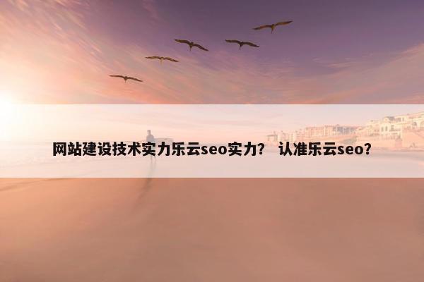 网站建设技术实力乐云seo实力？ 认准乐云seo？