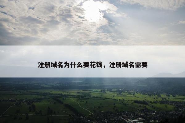注册域名为什么要花钱，注册域名需要