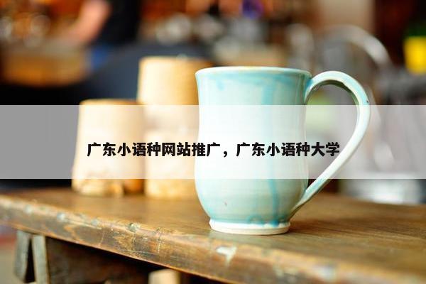 广东小语种网站推广，广东小语种大学