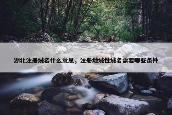 湖北注册域名什么意思，注册地域性域名需要哪些条件