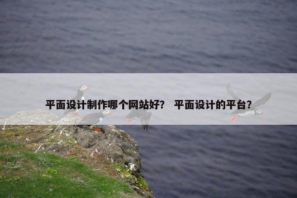 平面设计制作哪个网站好？ 平面设计的平台？