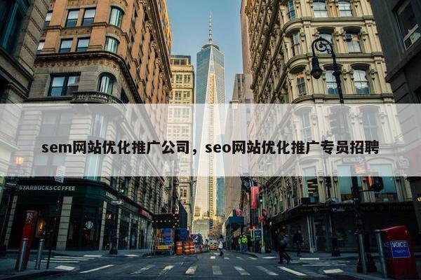 sem网站优化推广公司，seo网站优化推广专员招聘