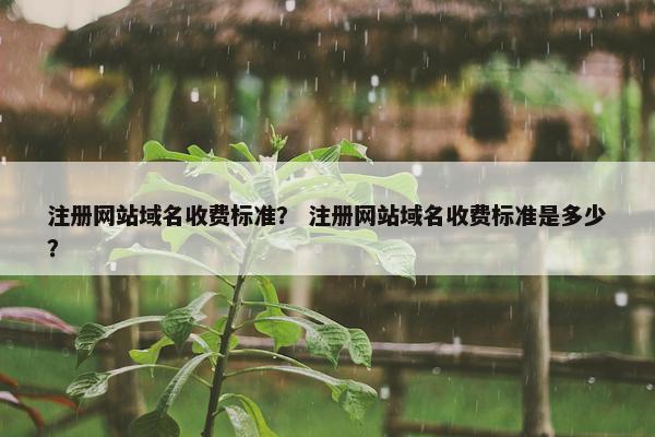 注册网站域名收费标准？ 注册网站域名收费标准是多少？