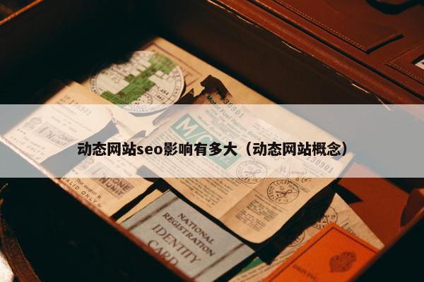动态网站seo影响有多大（动态网站概念）