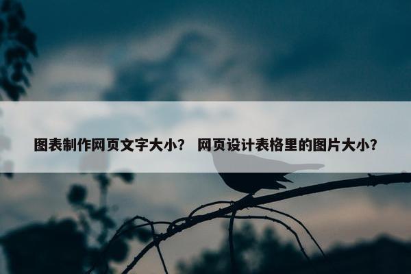 图表制作网页文字大小？ 网页设计表格里的图片大小？