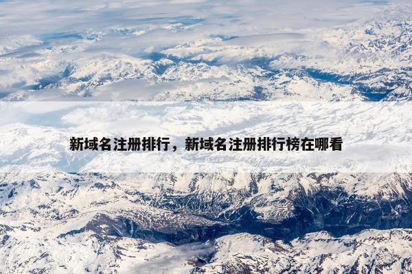 新域名注册排行，新域名注册排行榜在哪看