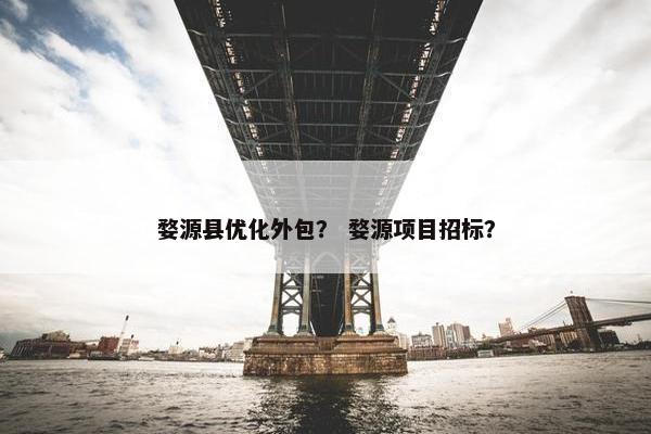 婺源县优化外包？ 婺源项目招标？