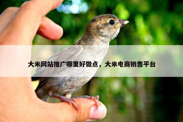 大米网站推广哪里好做点，大米电商销售平台