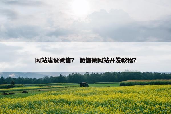 网站建设微信？ 微信微网站开发教程？
