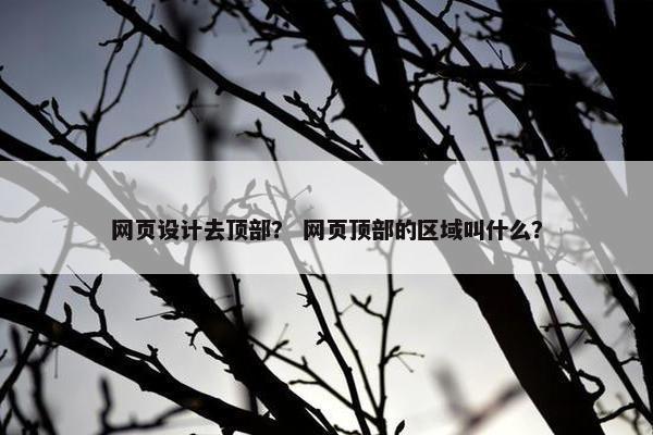 网页设计去顶部？ 网页顶部的区域叫什么？