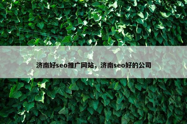 济南好seo推广网站，济南seo好的公司