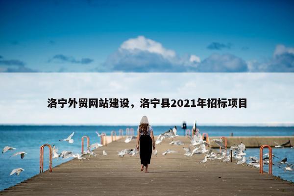 洛宁外贸网站建设，洛宁县2021年招标项目