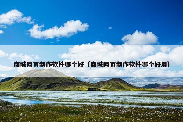 商城网页制作软件哪个好（商城网页制作软件哪个好用）